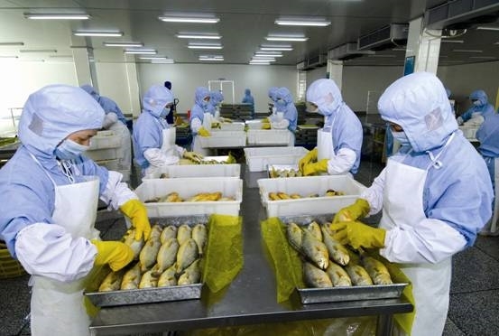 米乐体育官方登陆入口